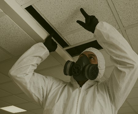 Asbestos Inspection