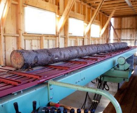 Logging & Sawmill