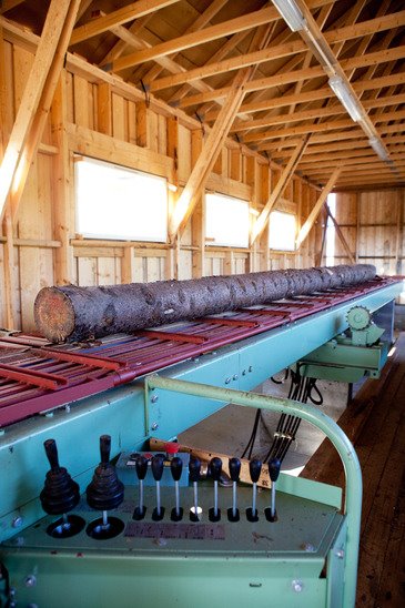Logging & Sawmill Services